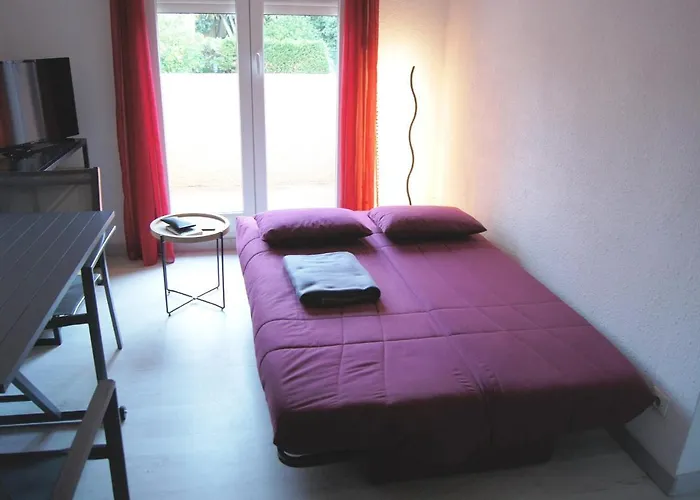 Les Locations De Lara Ii - T2 Lit Double&clic-clac Balcon Piscine Parking Privatif Agde