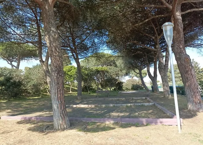 Les Locations De Lara Ii - T2 Lit Double&clic-clac Balcon Piscine Parking Privatif Appartamento